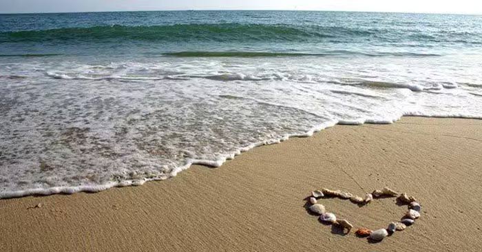 Lợi ích của việc đi biển