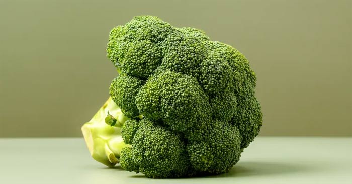 Rau nhiều vitamin C