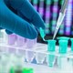 DNA xác nhận nạn nhân trong thảm họa hàng loạt như thế nào?