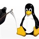 Intel chính thức "đóng cửa" hệ điều hành Clear Linux OS