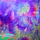 Không cần một chiếc Smart TV đắt tiền để xem nội dung 4K: Thiết bị giá rẻ này cũng có thể hoạt động tuyệt vời!