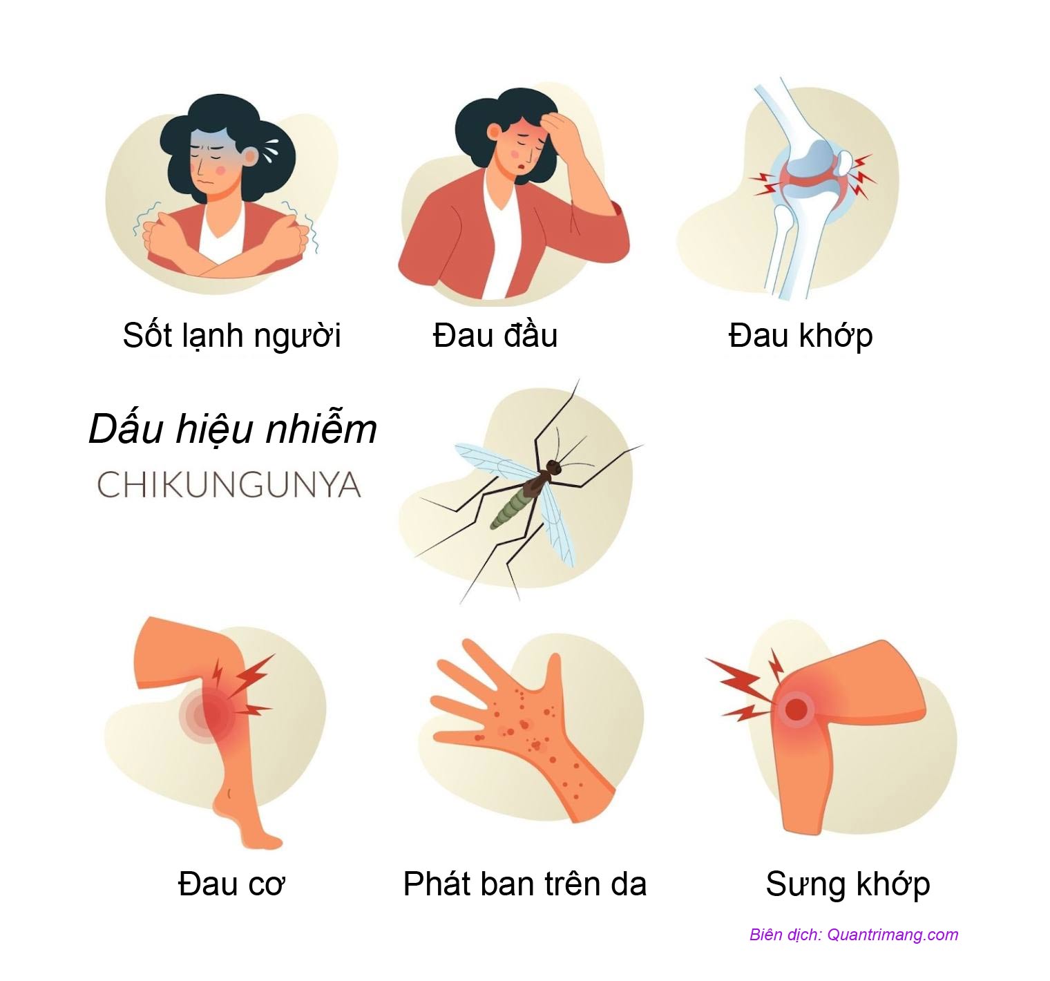 Dấu hiệu nhiễm virus Chikungunya