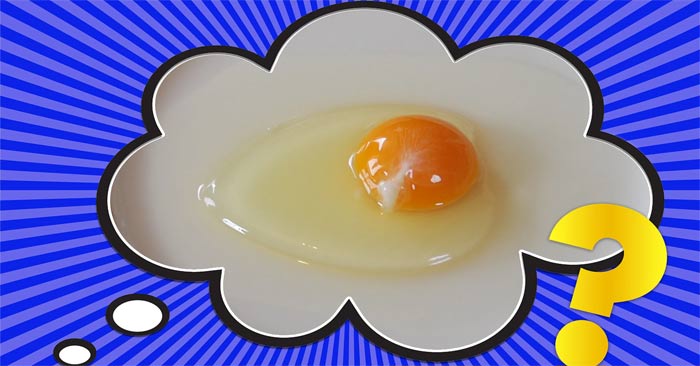 Đốm trắng trong lòng đỏ trứng