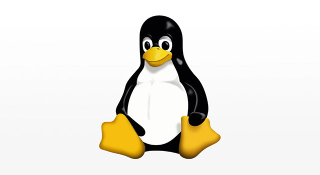 Linux 