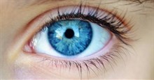 Chuyển động mắt có thể cảnh báo nguy cơ sa sút trí tuệ