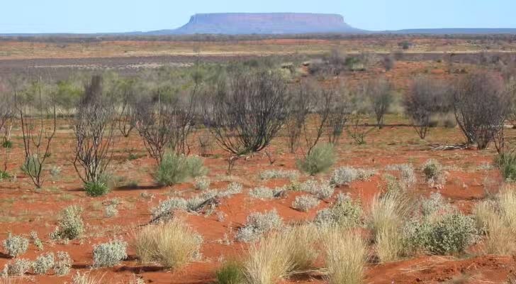 Học qua radio ở Outback