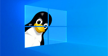 4 dấu hiệu cho thấy bạn đang trở thành người dùng Linux thành thạo