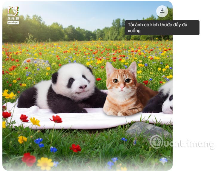 Ảnh ghép bằng Nano Banana Gemini