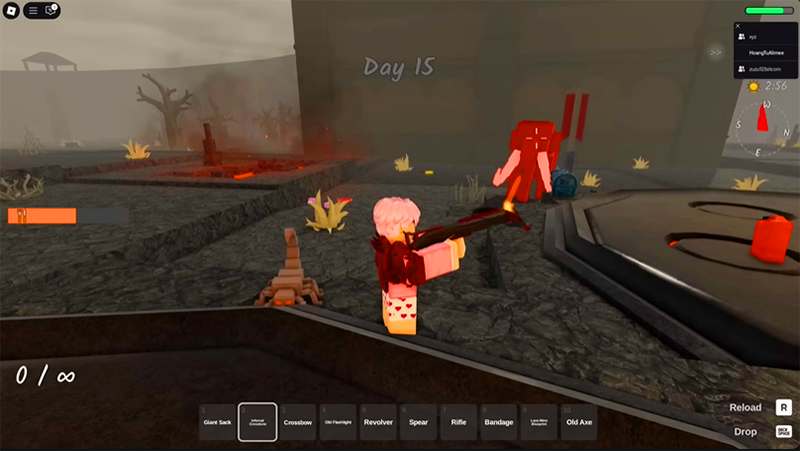 night in the forest code