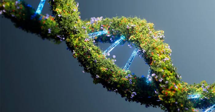 DNA tồn tại bao lâu?