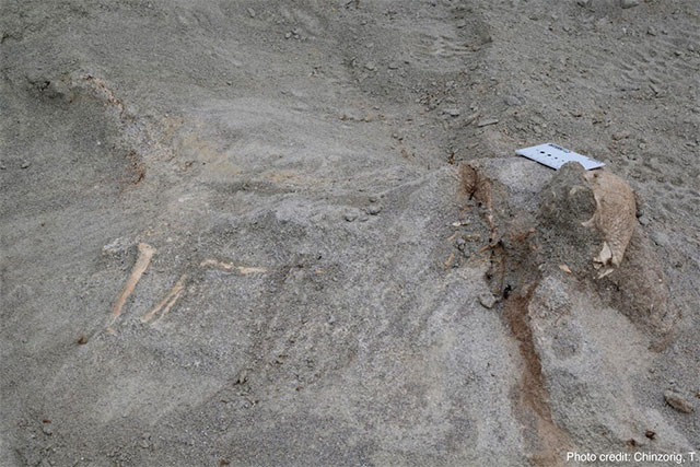 Địa điểm khảo cổ