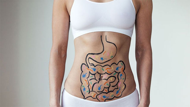 Axit amin cysteine giúp tái tạo và trẻ hóa ruột non