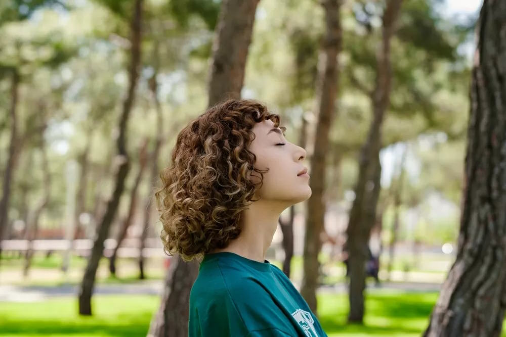 Hướng dẫn đi bộ hiệu quả giữa thiên nhiên