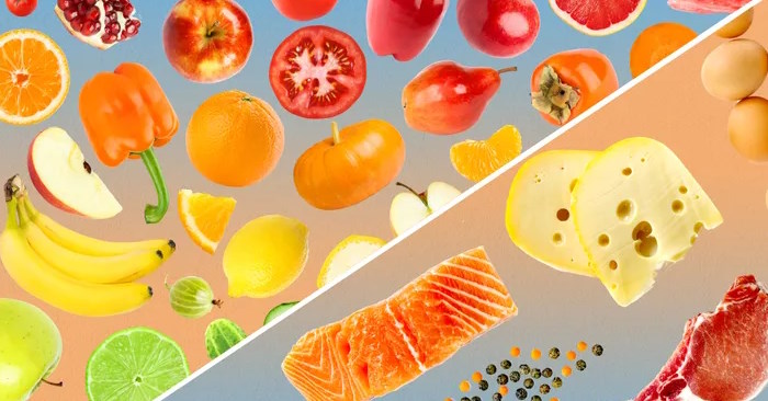 Chất xơ và protein