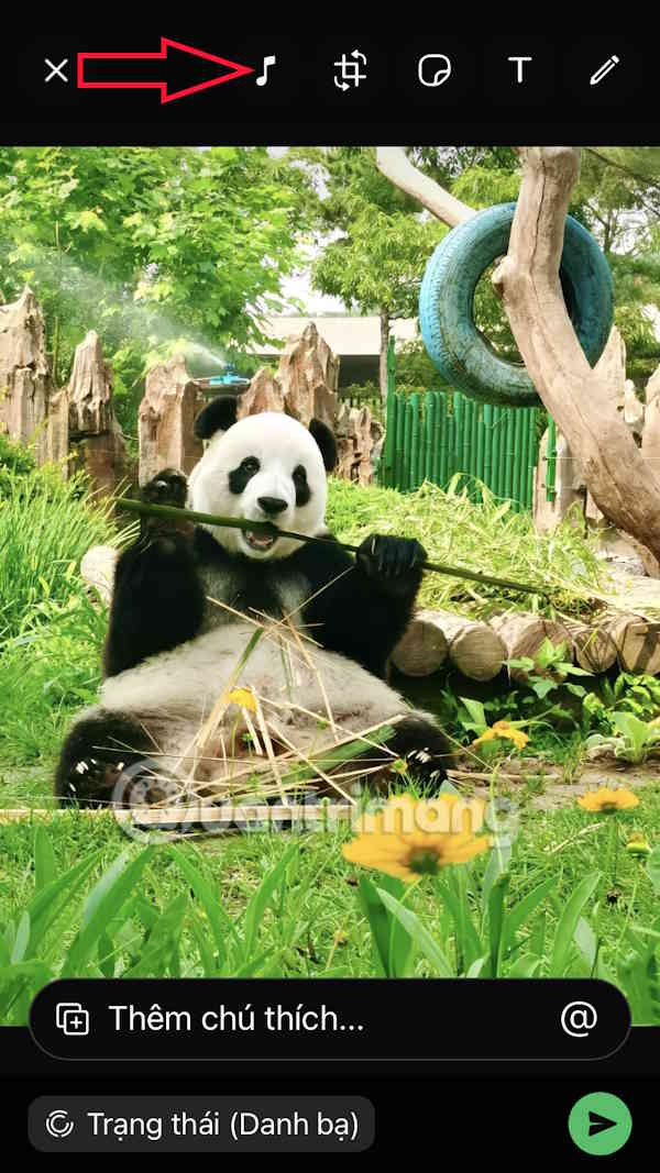 Chèn nhạc vào status WhatsApp