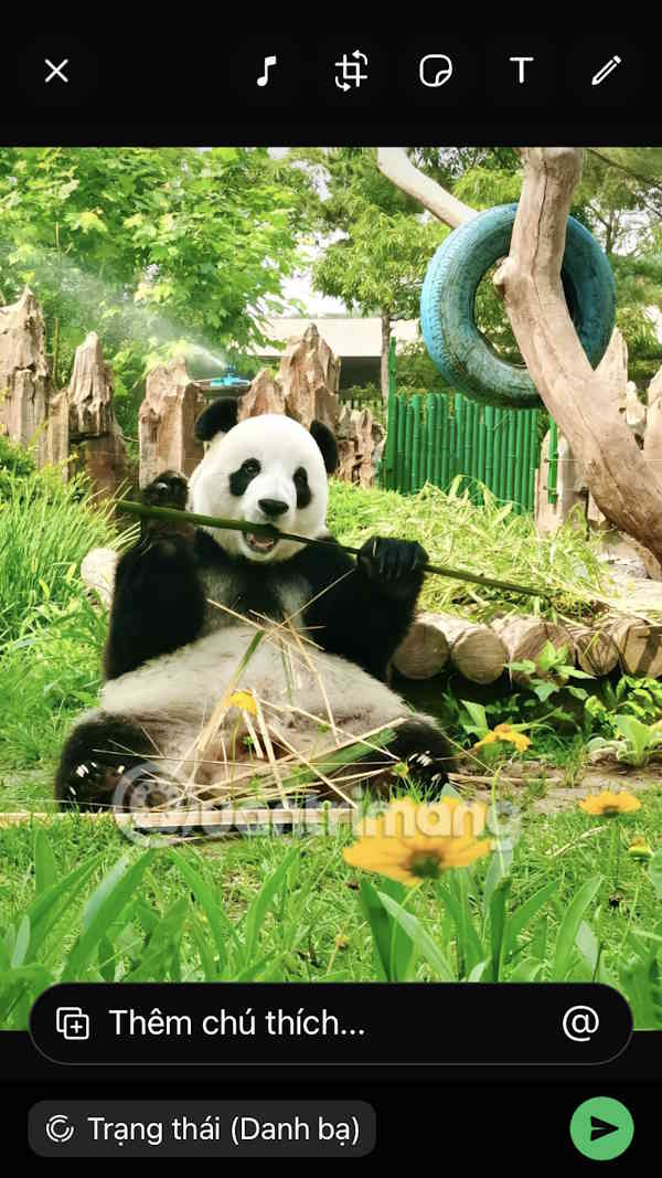 Đăng trạng thái WhatsApp