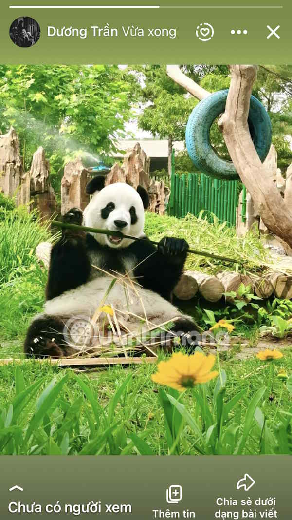 Đăng trạng thái WhatsApp lên Facebook