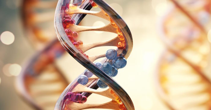 Sáng tạo công nghệ từ DNA