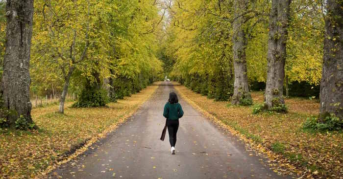 Hết stress trong 10 phút