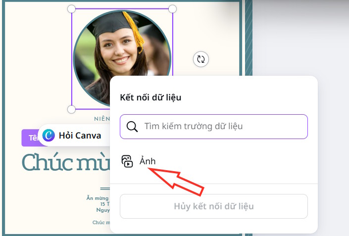 Chọn trường ảnh
