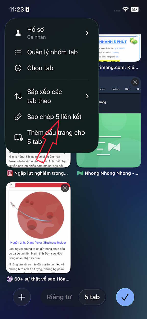 Sao chép URL các tab trên Safari