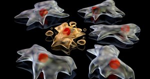 Các tế bào chết có thể tạo ra "dấu chân tử thần", giúp virus lây lan như thế nào?