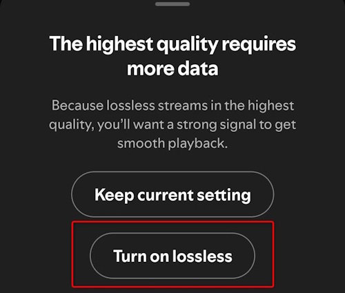Bật Lossless Spotify