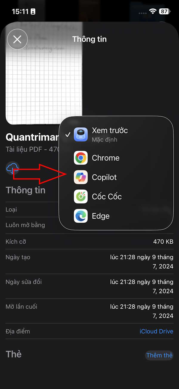 Chọn ứng dụng mặc định mở tệp iPhone