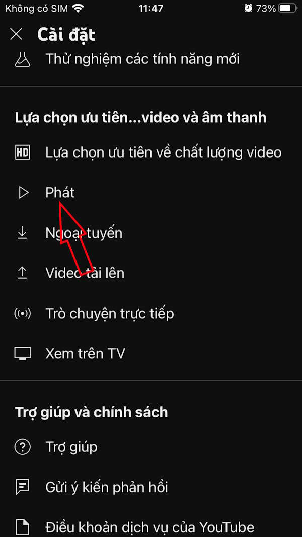 Chế độ phát YouTube