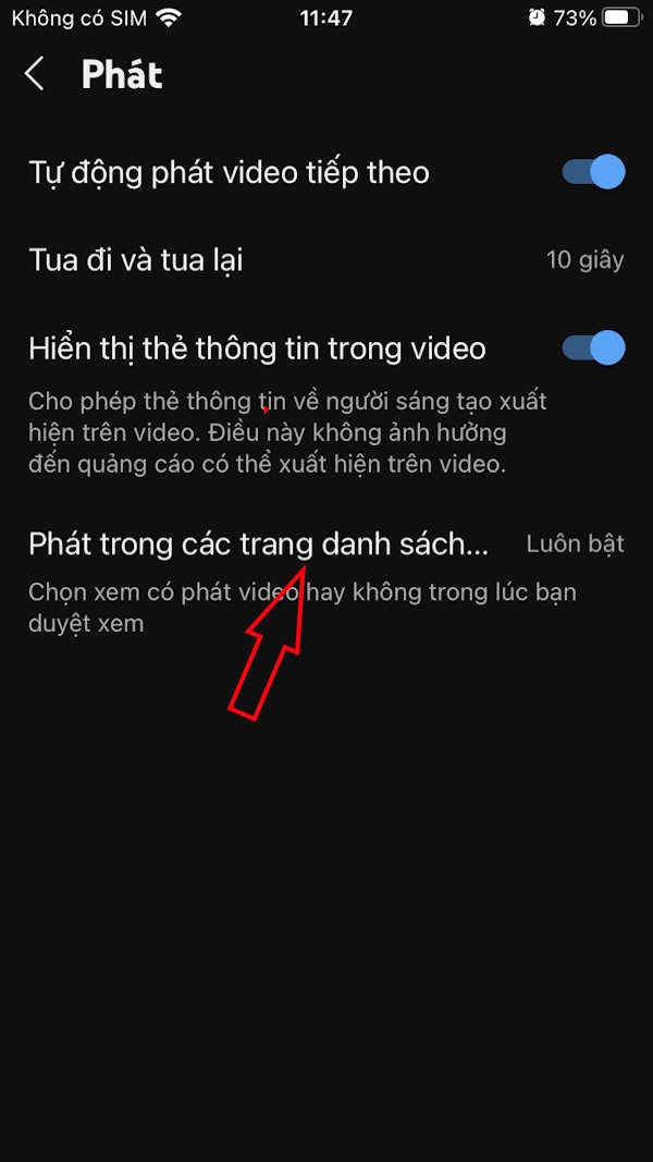 Phát video trong danh sách YouTube