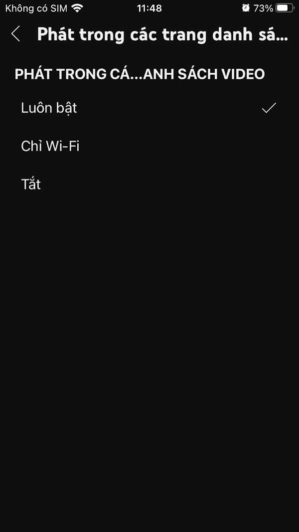 Tự động phát video YouTube xem trước