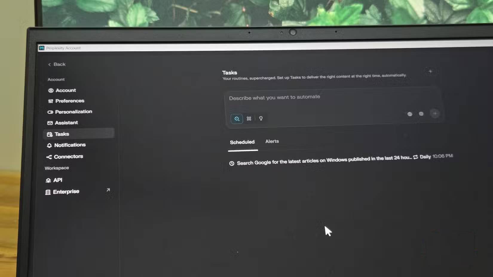 Tab Tasks mở trên Perlexity trên Windows 11