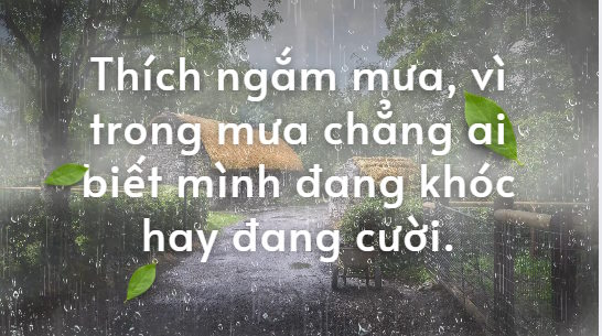 Stt về mưa