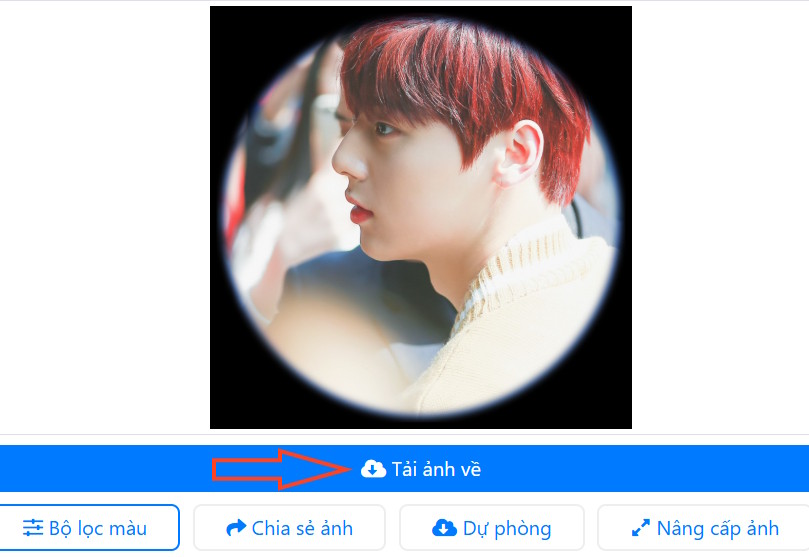 Tải ảnh avatar mắt cá