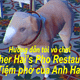 Hướng dẫn chơi Brother Hai’s Pho Restaurant