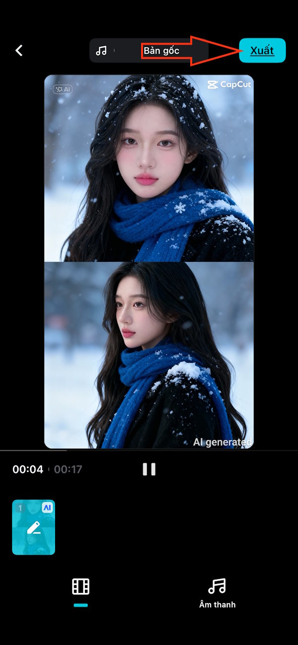 Xuất video tuyết rơi