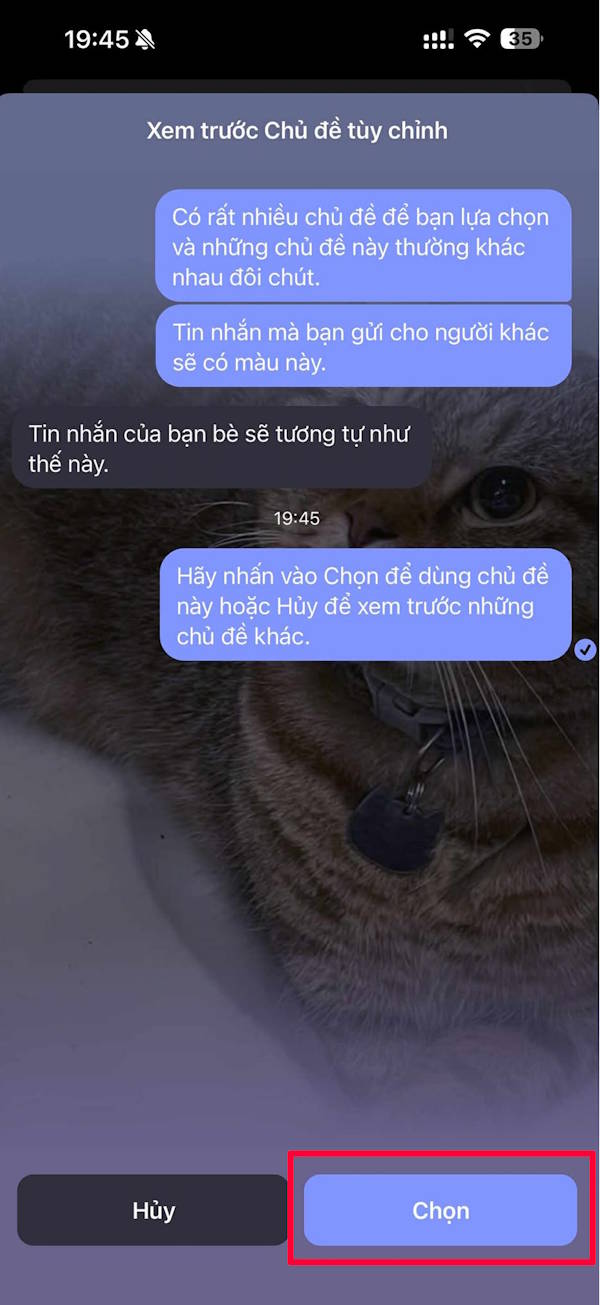 Ảnh làm chủ đề chat Messenger 