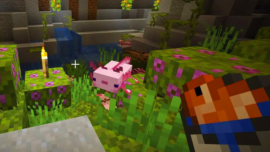 kỳ nhông minecraft