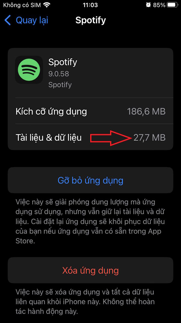 Dung lượng lưu trữ Spotify iPhone