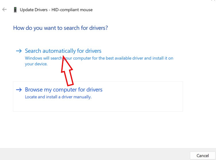 Cập nhật trình driver chuột