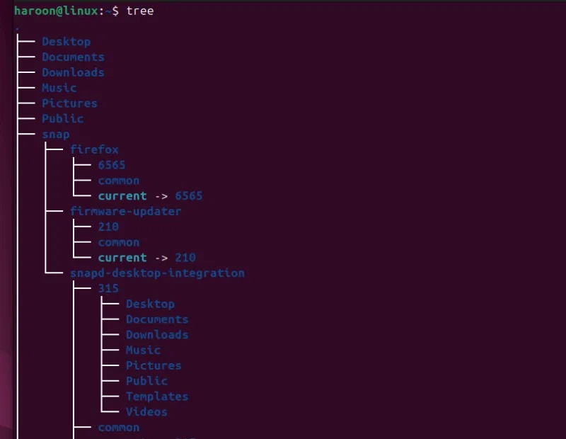 Hiển thị cấu trúc dạng cây bằng cách chạy lệnh Tree