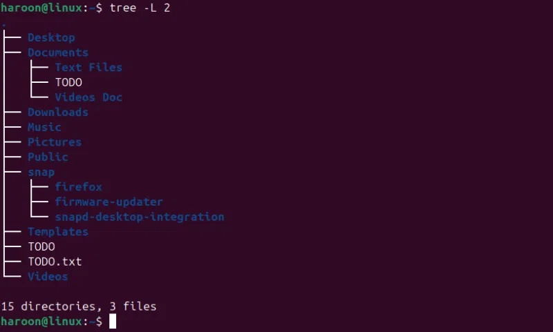 Hiển thị cấu trúc dạng cây 2 cấp bằng lệnh Tree 