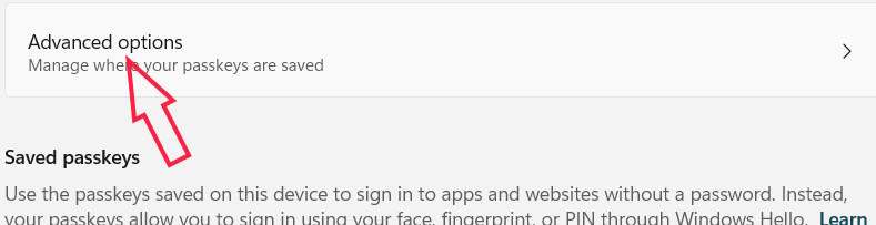 Advanced options Passkey Windows 11