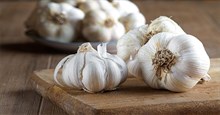 Nước súc miệng chiết xuất tỏi mang lại hiệu quả sát khuẩn không ngờ