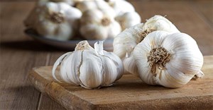 Nước súc miệng chiết xuất tỏi mang lại hiệu quả sát khuẩn không ngờ