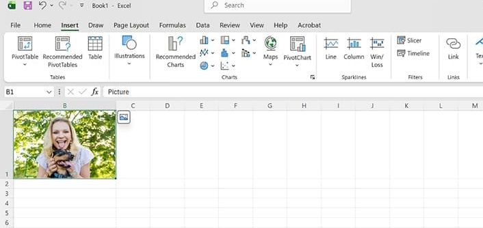 Ảnh chèn trong ô Excel