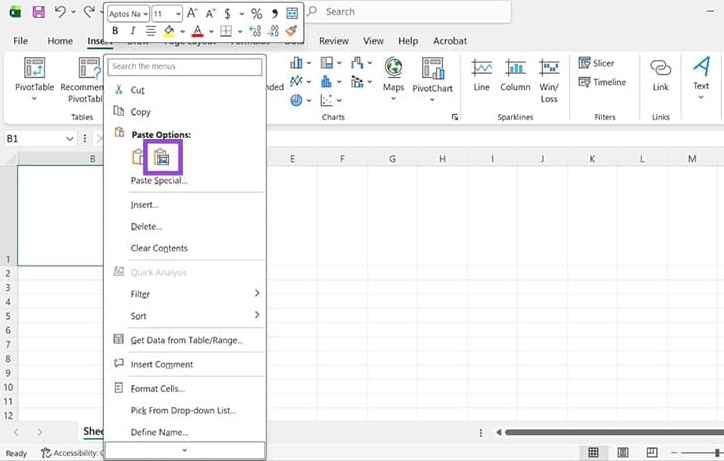 Paste Options chèn ảnh vào ô Excel