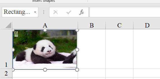 Chèn ảnh vào hình dạng Excel