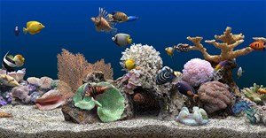 6 screensaver Windows kinh điển thập niên 1990 vẫn chạy tốt trên Windows 11