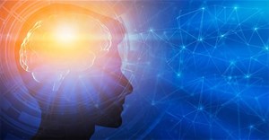 Bộ não có 5 “độ tuổi bí mật” với những bước ngoặt quan trọng suốt đời người